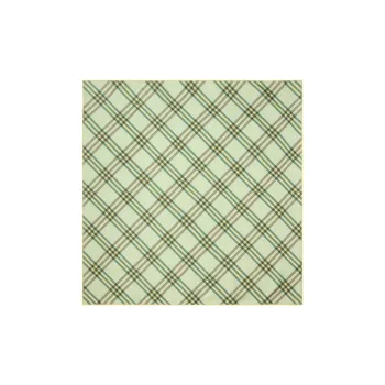 Burberry Silk Silk Scarves Unisex Green