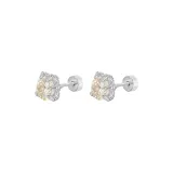 1 Pair-Ice Crystal Citrine