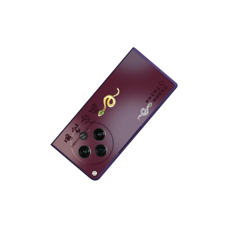 CHUNFAN Phone Cases-5