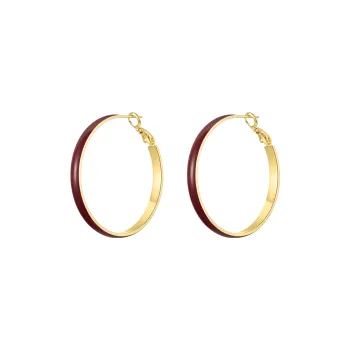 ZEGL 925 Silver Needles Earrings Women's