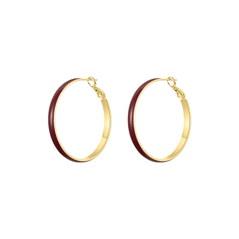 ZEGL 925 Silver Needles Earrings Women's-0
