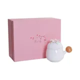Moon White-Box