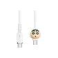 66W Fast Charger Type-C White