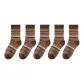 Umber 5