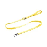Amber Yellow