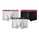 3 Pack (Trendy Color Blocking Combo F)