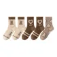 Beige Bear 2+Coffee Bear 2+Floral
