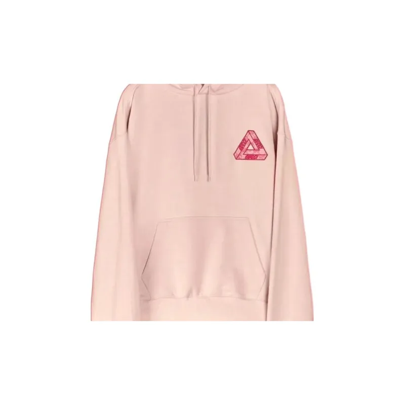 PALACE X GUCCI Tri-Ferg GG Patch Hoodie-3