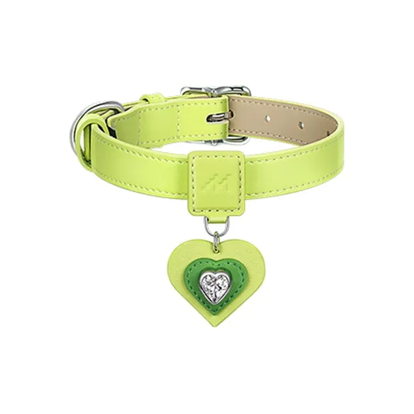 MARS MAIL Pet Collar Pendant With Retractable Leash Clothing Sets-5
