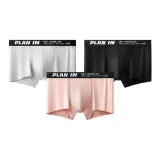 3 Pack (Trendy Color Blocking Combo A)