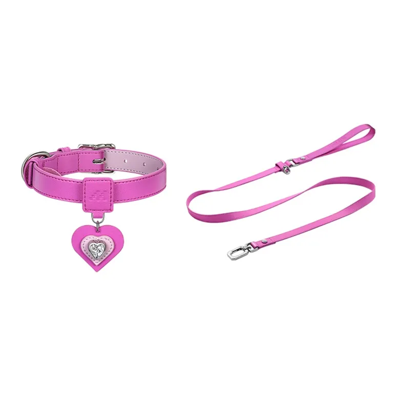 MARS MAIL Pet Collar Pendant With Retractable Leash Clothing Sets-11