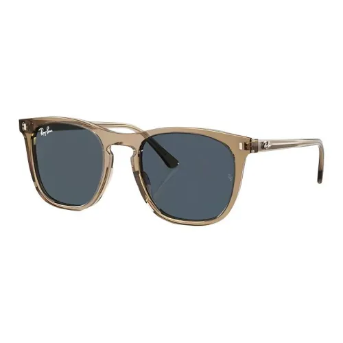 RayBan Wayfarer frame Sunglasses