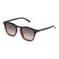 Multicolored Brown