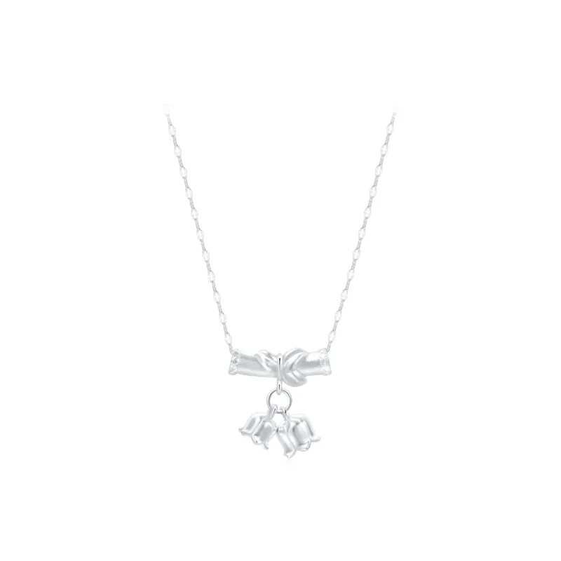 STQ S999 Fine Silver Necklaces Women's Birthday Gift Box Sets-0
