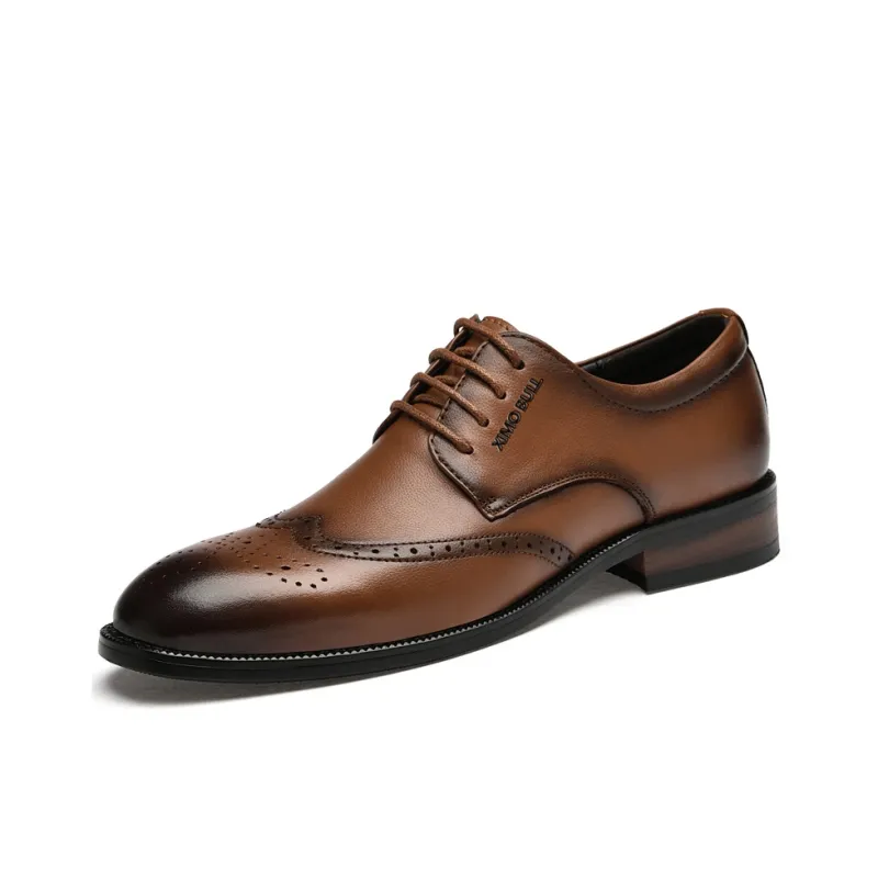 XIMO BULL Dress Shoes Men Low Top Black/Brown-5