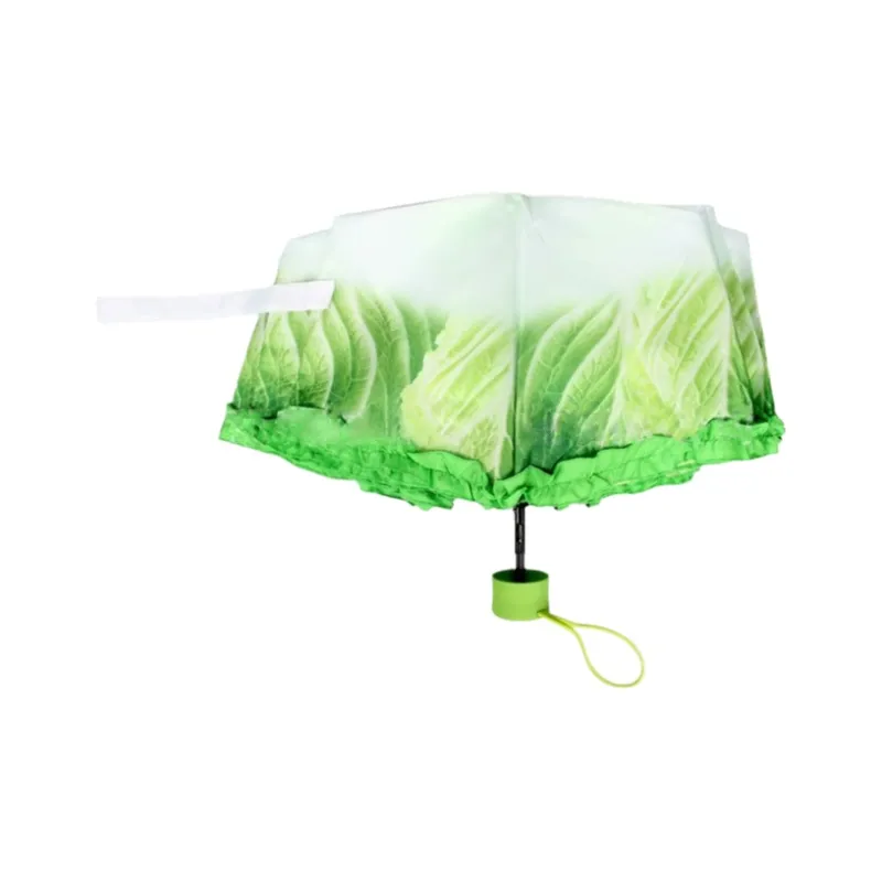 Pleasant language Umbrellas-14