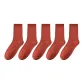 Burgundy 5 Pack