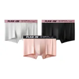 3 Pack (Trendy Color Blocking Combo E)