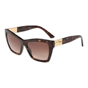 Jimmy Choo Elina Sunglasses