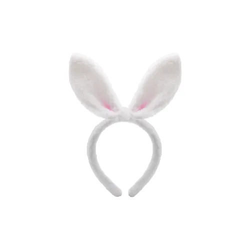 ZANC Headbands Women's