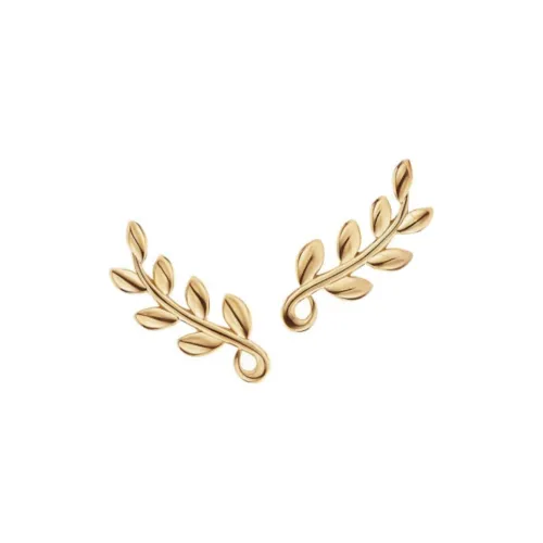 TIFFANY & CO. 18K Gold Earrings Women's Gold