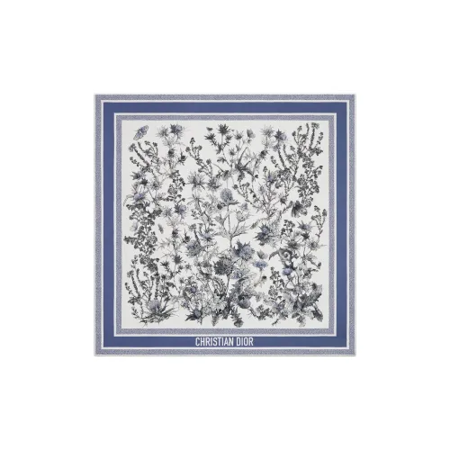 DIOR Silk Silk Scarves Women's Blue