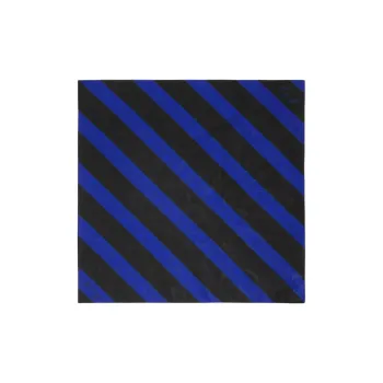 Burberry Cotton Knit Scarves Unisex Blue