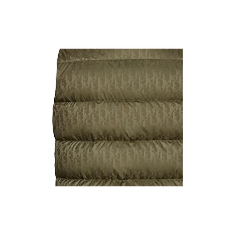 DIOR Quarterly New Products Vests Men Khaki-4