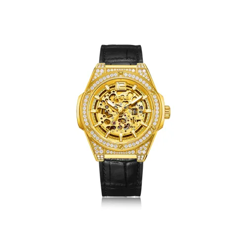 HIPINE 오토매틱 메커니컬 무브먼트 남성 중국 시계 47mm*44mm*13mm 골든