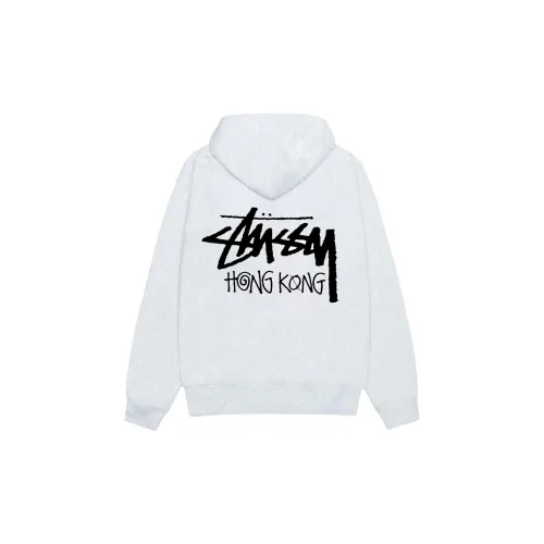 Stussy FW24 Sweatshirt Unisex Gray