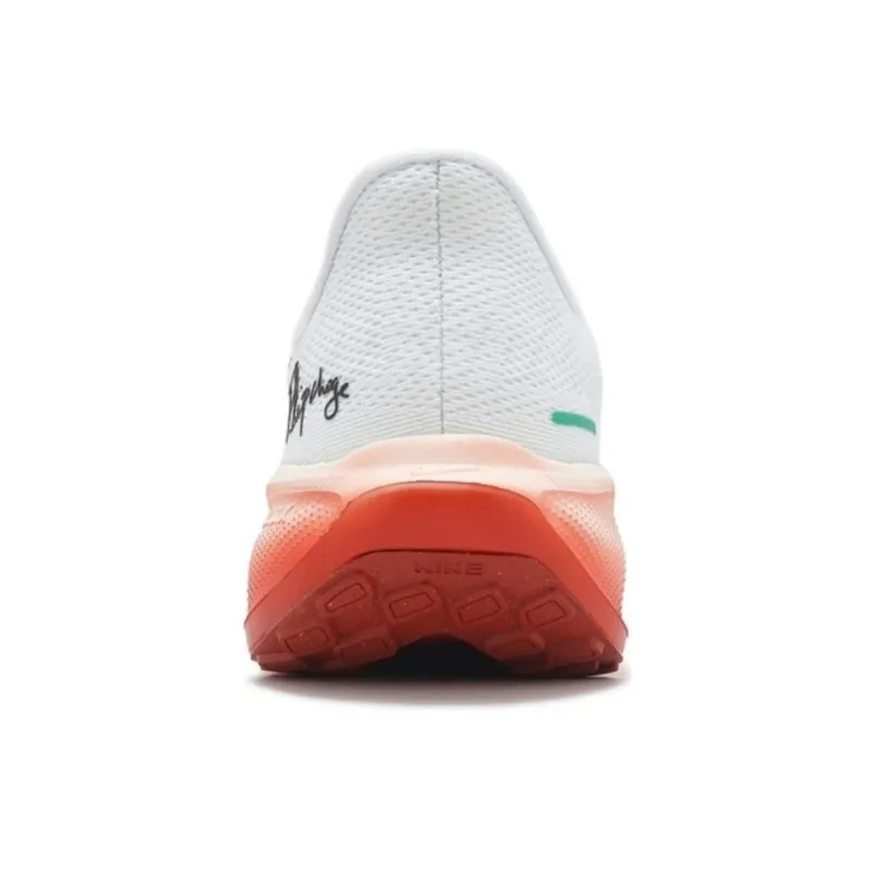 Nike Air Zoom Pegasus 41 Eliud Kipchoge-2
