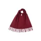 Burgundy Dark Blue Stripes