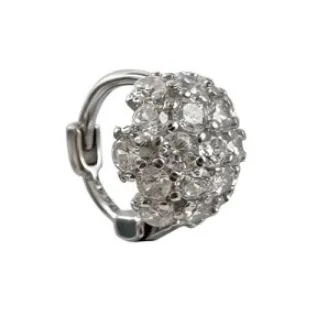 ZWU 925 Silver Needles Earrings Women's