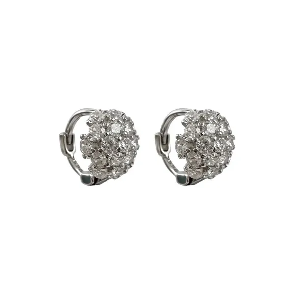 ZWU 925 Silver Needles Earrings Women's-2