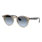 Brown Frame with Blue Lens