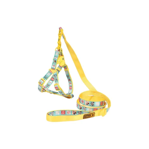 Disney Leashes