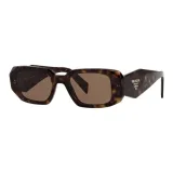 Tortoiseshell