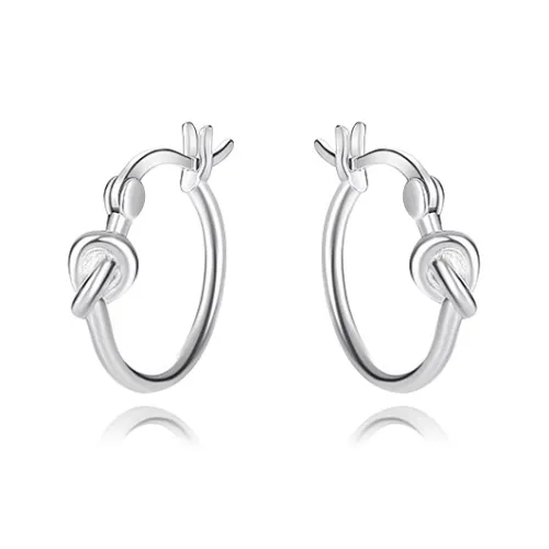 CUOOYINO 925 Silver Needles Earrings Women's
