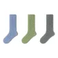 Men's Socks (Spruce Green+Turquoise Blue+Dark Gray)