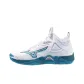 White/Sailor Blue/Silver