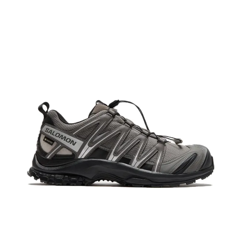 SALOMON Xa Pro 3D Gore Tex Pewter Silver Cloud-1