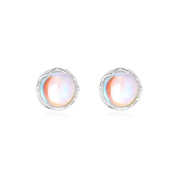 DTOTO S925 Silver Stud Earrings Unisex