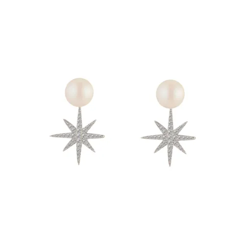 Like A Dream Artificial Zircon Earrings Women's