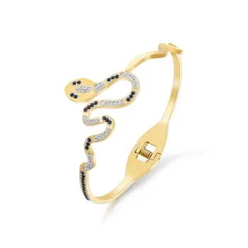 DH7 Titanium Steel Bangles Women's