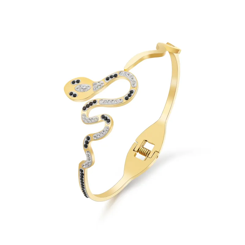 DH7 Titanium Steel Bangles Women's-0
