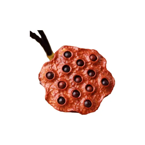 Lordship Bloodwood Collectible Unisex