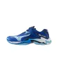 Blue White