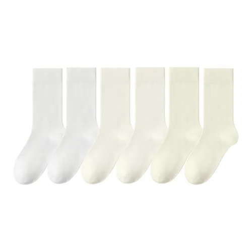 Caramella Mid Calf Socks Women's 6 Pack