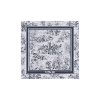 DIOR Cashmere Shawls Women's Blue White