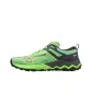 Green Black